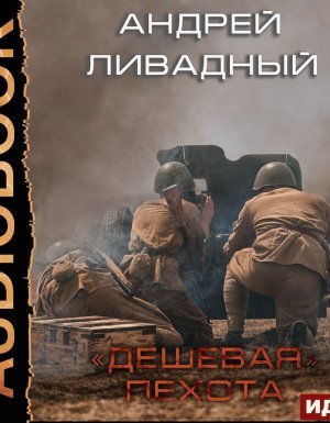 Дешевая пехота - Андрей Ливадный - обложка книги