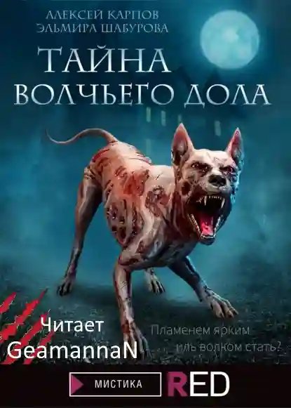 Тайна волчьего дола - обложка книги