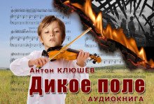 Дикое Поле - обложка книги