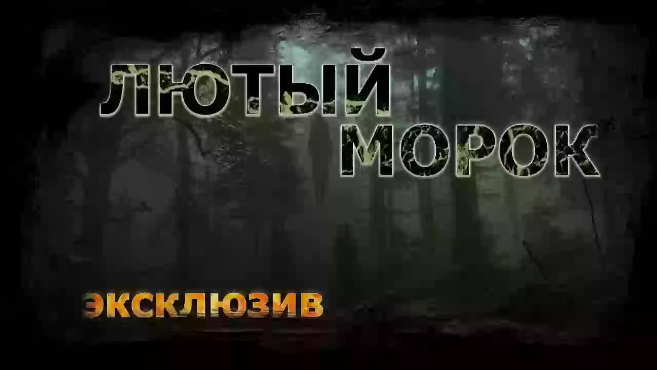 Лютый морок - обложка книги