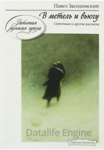 В метель и вьюгу - Павел Засодимский - обложка книги