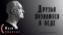 Друзья познаются в беде - обложка книги