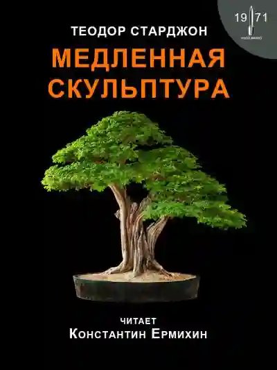 Медленная скульптура - обложка книги