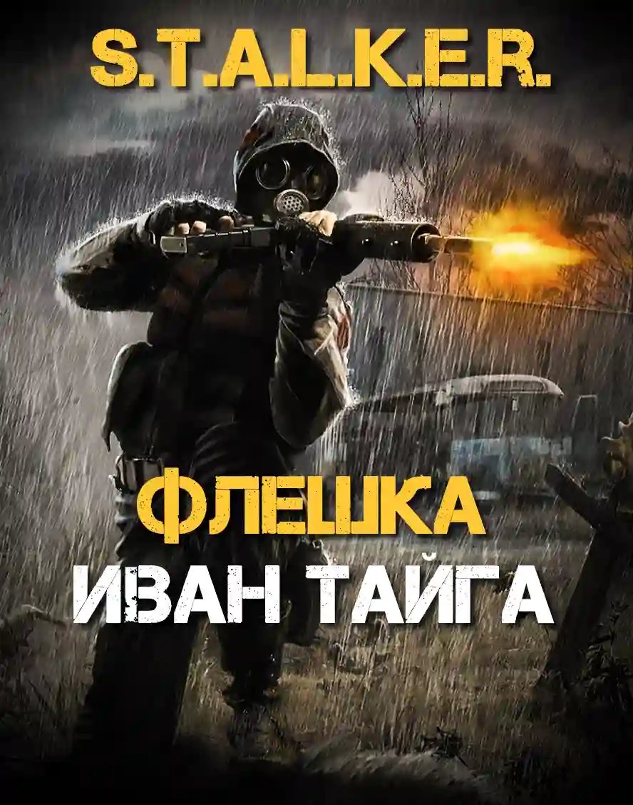 S.T.A.L.K.E.R. Флешка - обложка книги