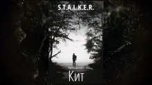 S.T.A.L.K.E.R. Кит - обложка книги