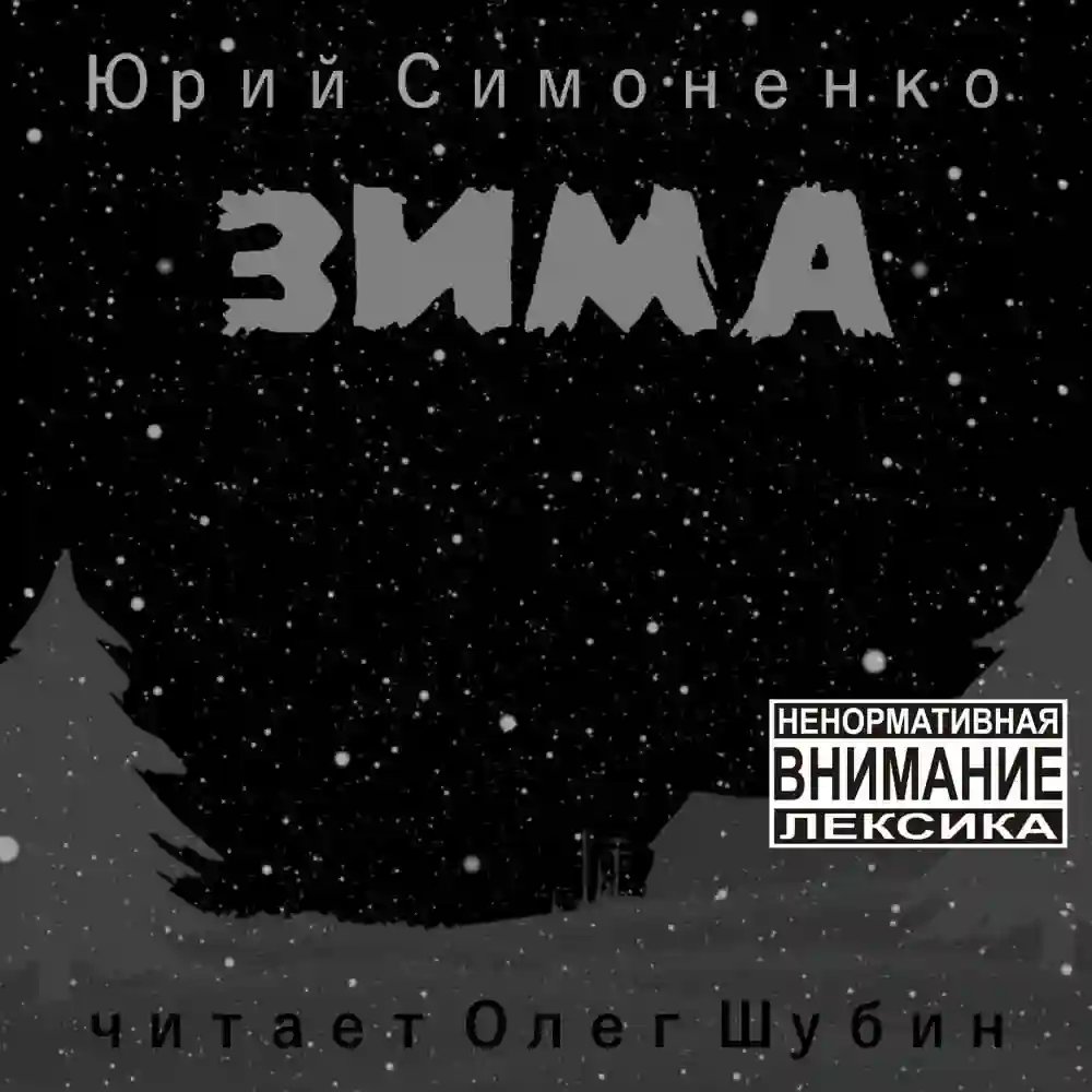 Зима - обложка книги