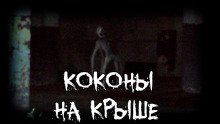 Коконы на крыше - обложка книги