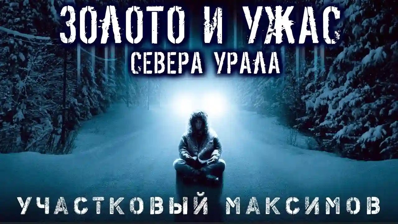 Участковый Максимов - обложка книги