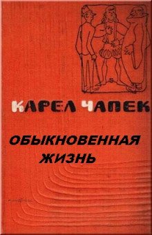 Обыкновенная жизнь - обложка книги