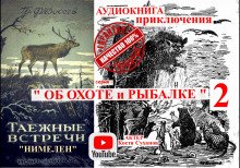 Нимелен - обложка книги