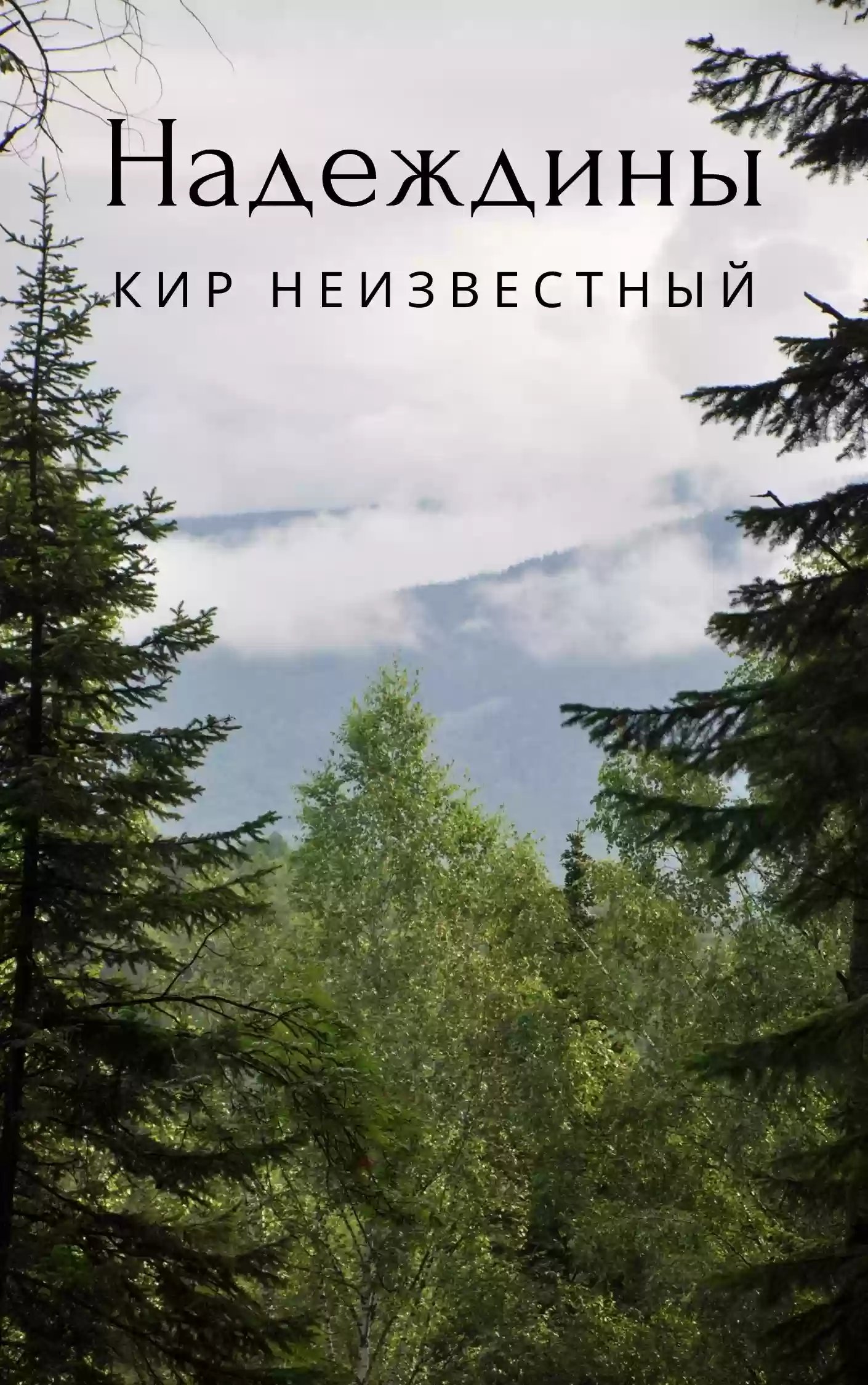 Надеждины - обложка книги