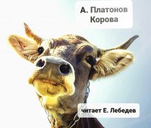 Корова - обложка книги