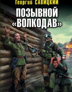 Позывной «Волкодав» 2. Огонь Сталинграда - Георгий Савицкий - обложка книги