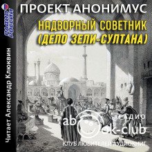 Надворный советник - обложка книги