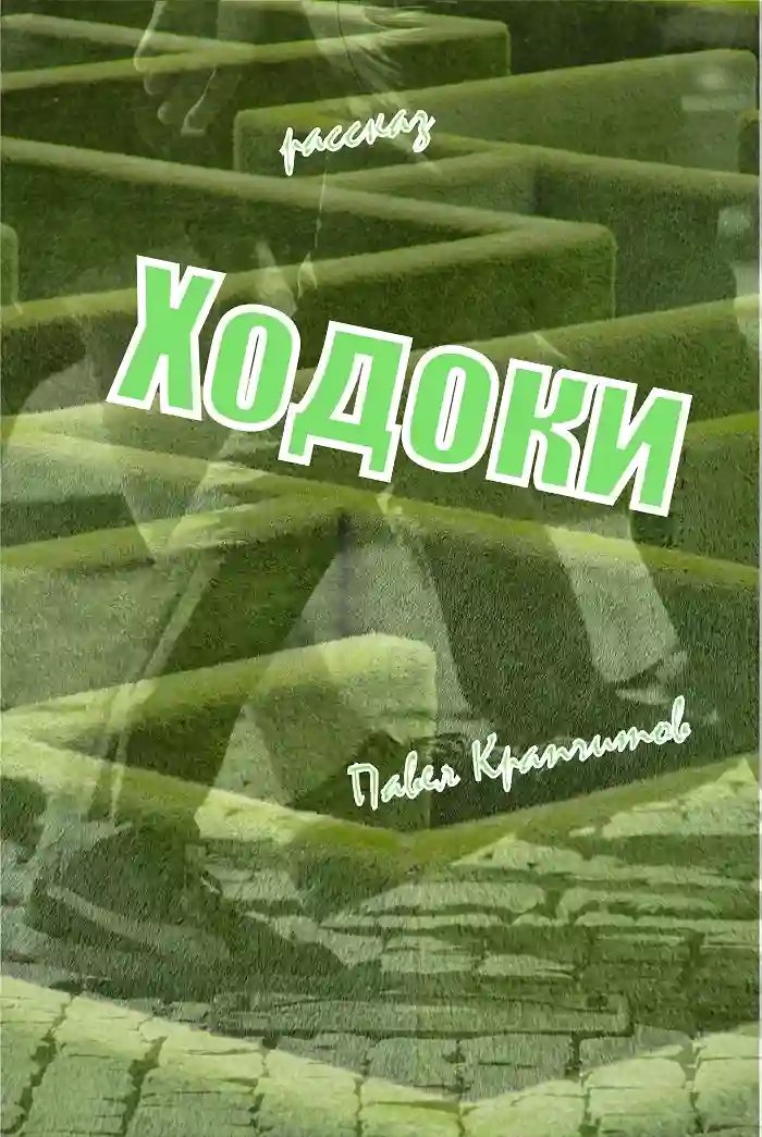 Ходоки - обложка книги