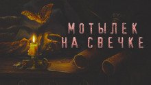 Мотылек на свечке - обложка книги