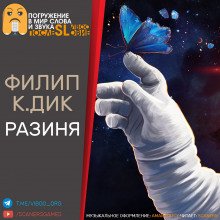 Разиня - обложка книги