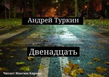 Двенадцать - обложка книги