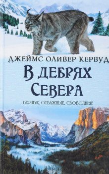 В дебрях севера - обложка книги