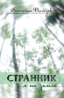 Странник я на земле... - обложка книги