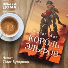 Король эльфов - обложка книги