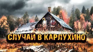 Случай в Карлухино - обложка книги