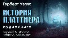 История Платтнера - обложка книги