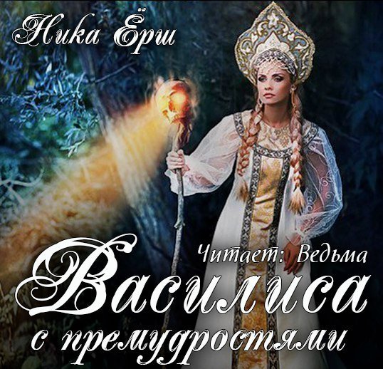 Василиса с премудростью - обложка книги