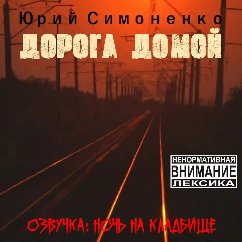 Дорога домой - обложка книги