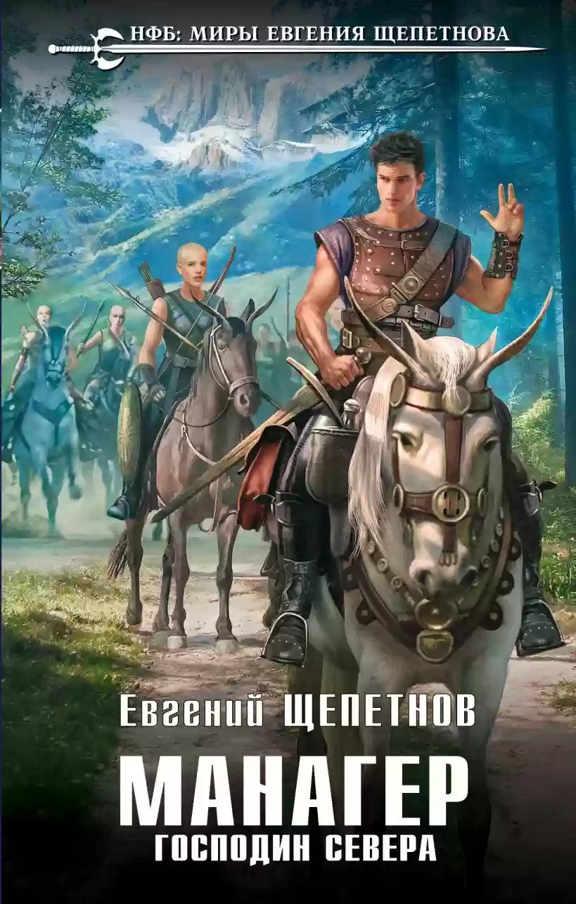 Господин Севера - обложка книги