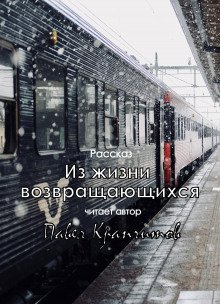 Из жизни возвращающихся - обложка книги