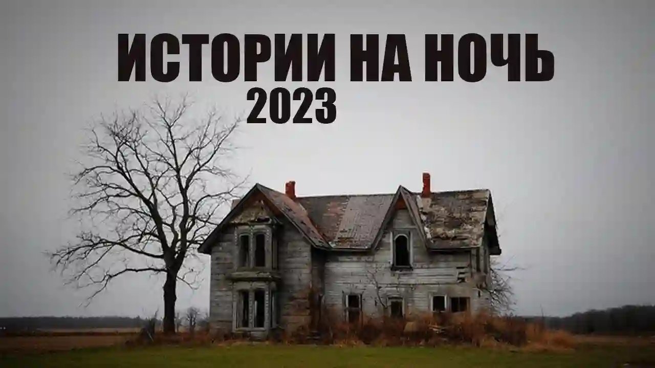 Сборник историй на ночь 2023 года - обложка книги