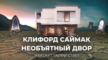 Необъятный двор - обложка книги