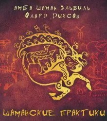 Шаманские практики - обложка книги