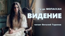 Видение - обложка книги