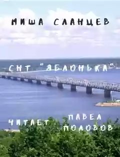 СНТ 