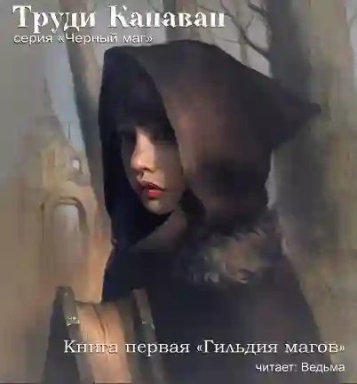 Гильдия магов - обложка книги