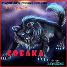 Собака - обложка книги