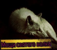 Мощи святого волка - обложка книги