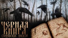 Чёрная книга Дикого леса - обложка книги