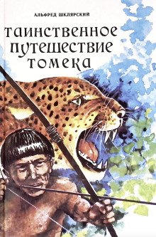 Таинственное путешествие Томека - обложка книги