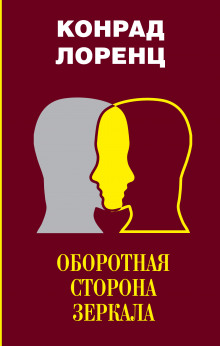 Оборотная сторона зеркала