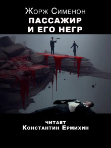 Пассажир и его негр